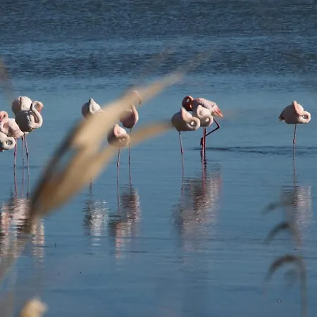 Bed & Breakfast Le Tre Nasse 3*